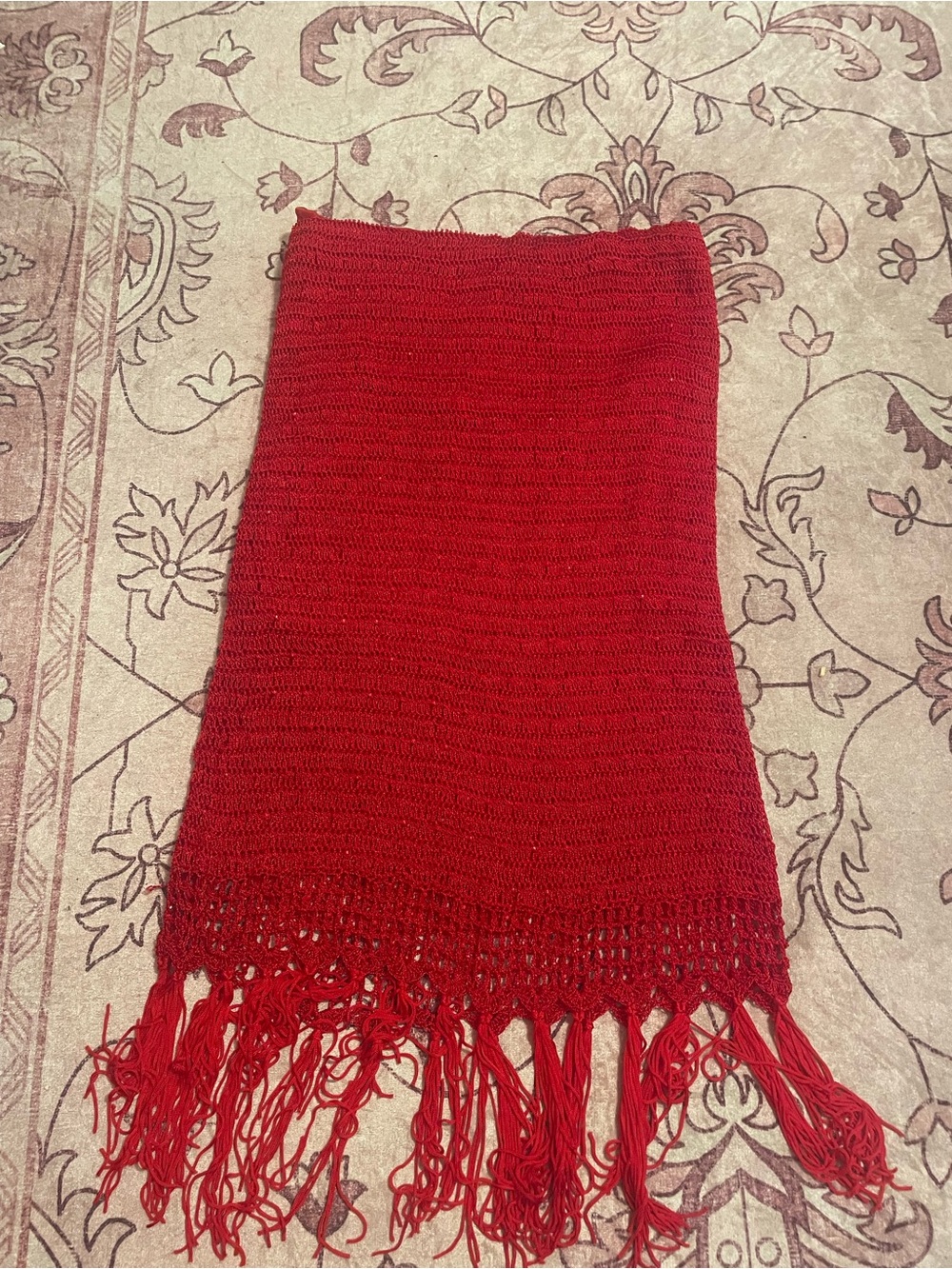 Red Knit Fringe Skirt